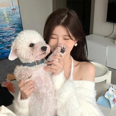 猫的闹剧